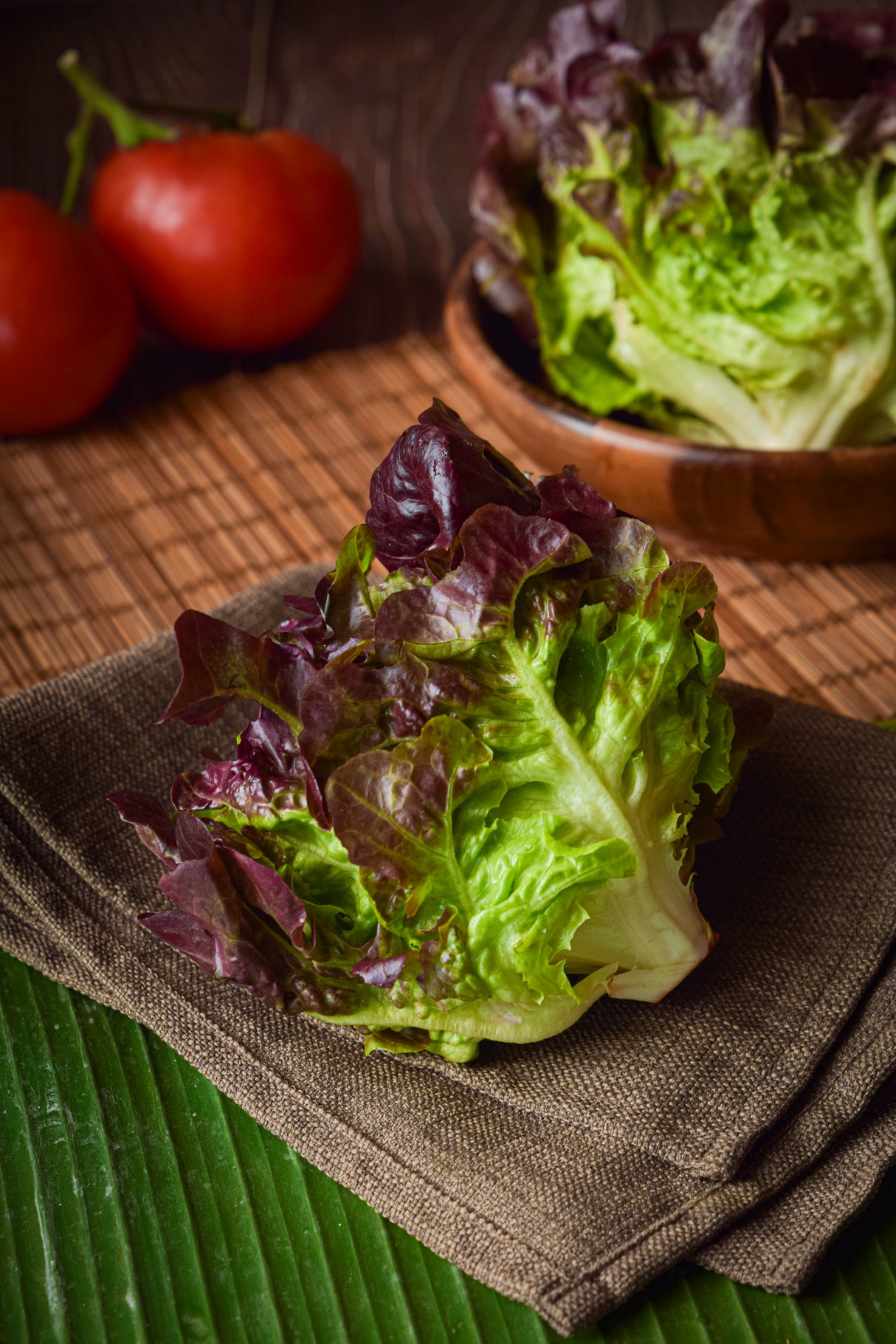 ผักออแกนิก เรดโอ๊ค