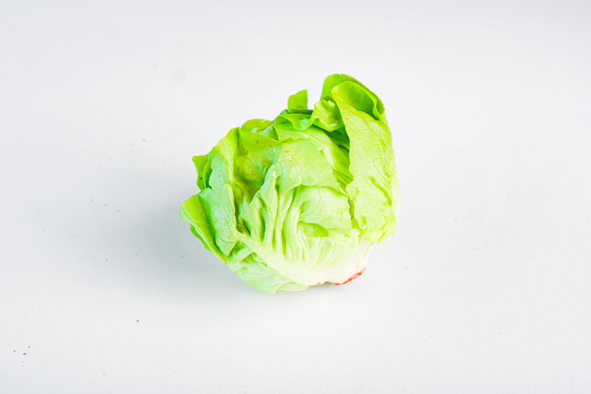 ผักออแกนิก บัตเตอร์เฮด