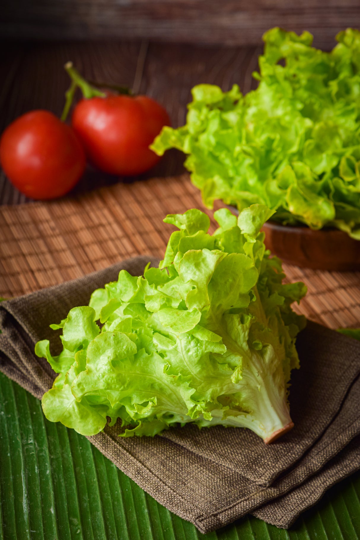 ผักออแกนิก กรีนโอ๊ค