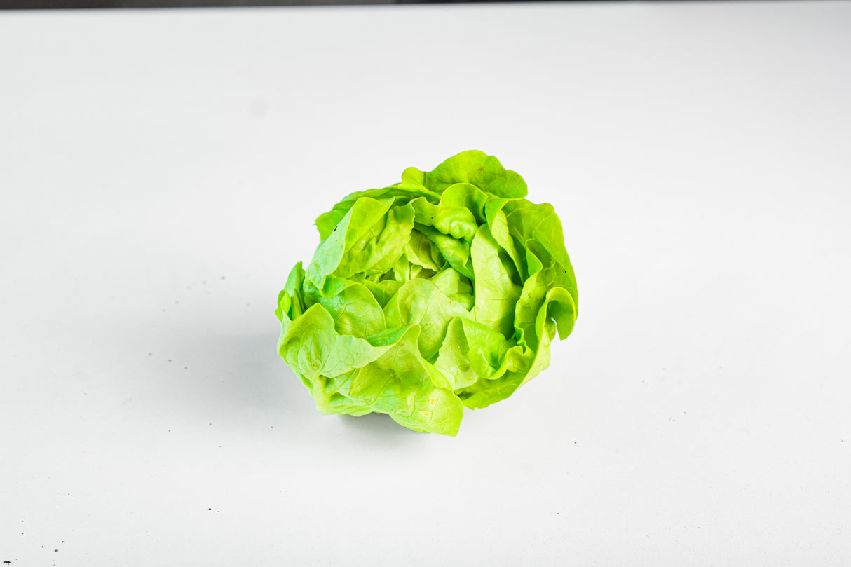 ผักออแกนิก บัตเตอร์เฮด