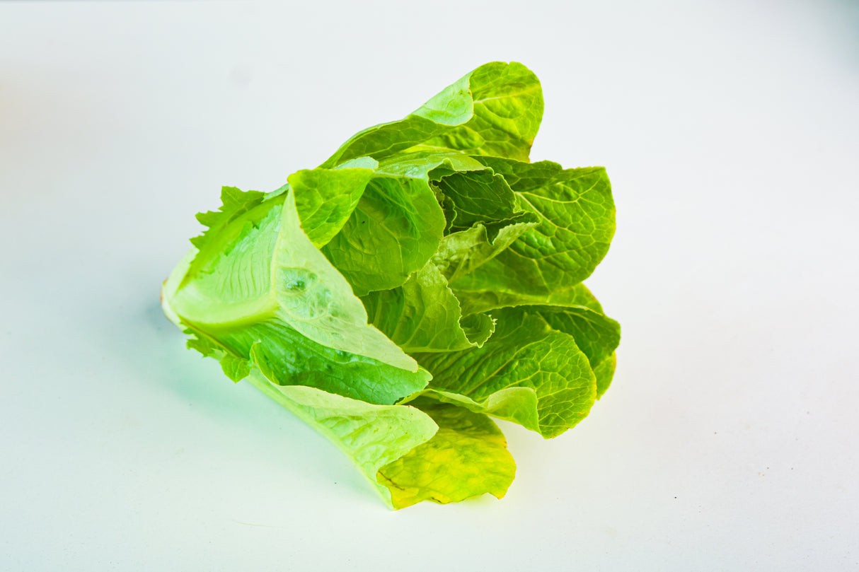 ผักออแกนิก กรีนคอส