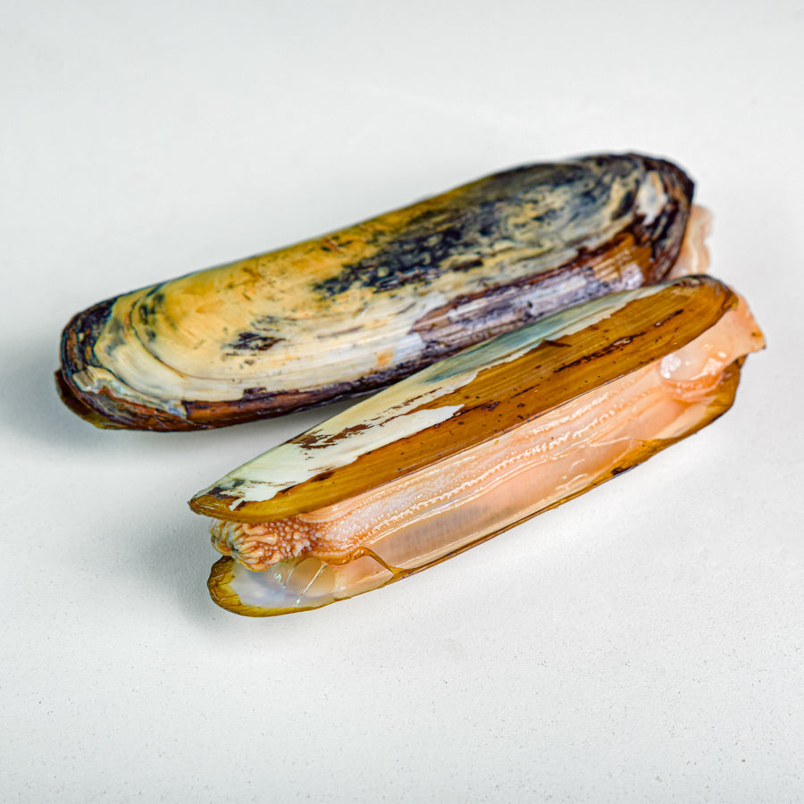 หอยไม้ไผ่เป็น