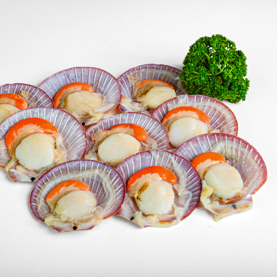 หอยเชลล์