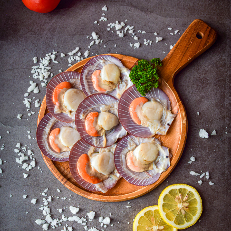 หอยเชลล์