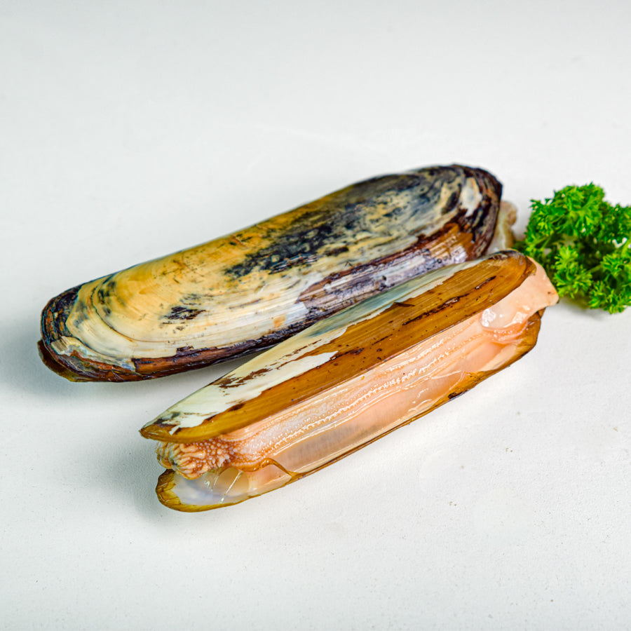 หอยไม้ไผ่เป็น