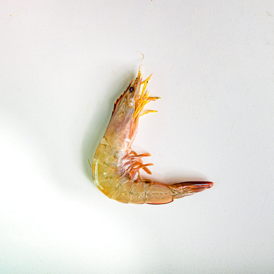 กุ้งเเชบ๊วย