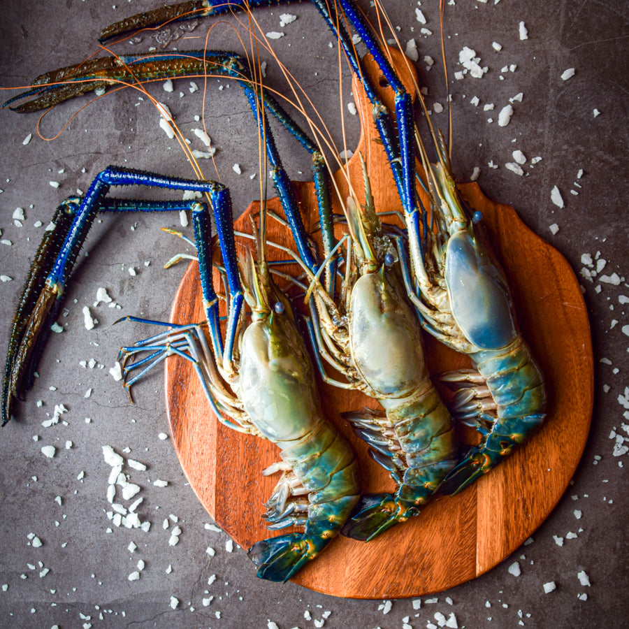 กุ้งเเม่น้ำ